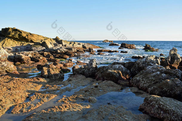海滩加利福尼亚海岸线海斯勒<strong>潮间带</strong>