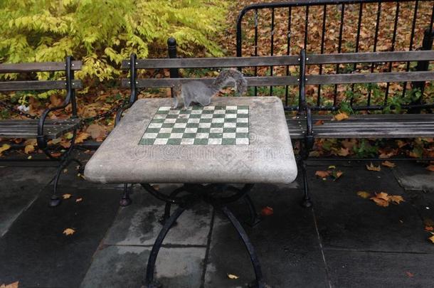 秋天，曼哈顿市政厅公园的一张国际象棋桌上坐着一位一张国际象棋桌子上。