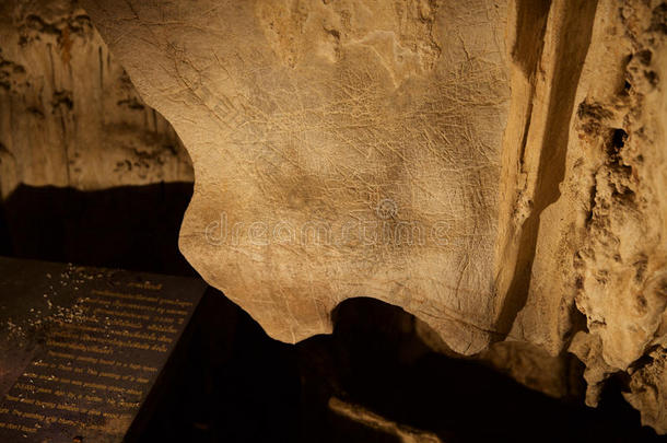 古代岩石在塔姆地段洞穴中绘画