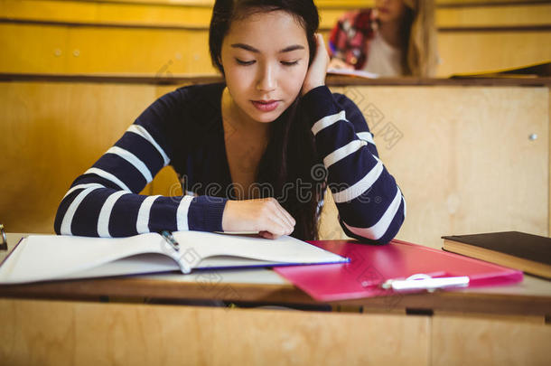 集中学生在笔记本上阅读