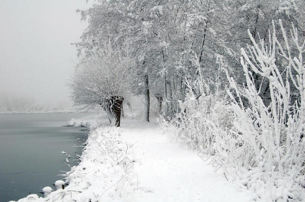 荷兰雪景观与湖泊和树木