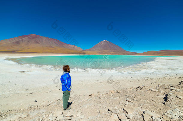 玻利维亚安第斯<strong>山脉</strong>上的绿色泻湖和地衣<strong>火山</strong>