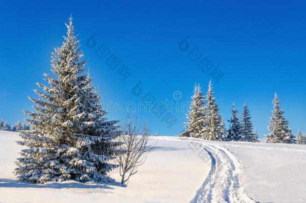 童话般的冬季景观与白雪覆盖的树木
