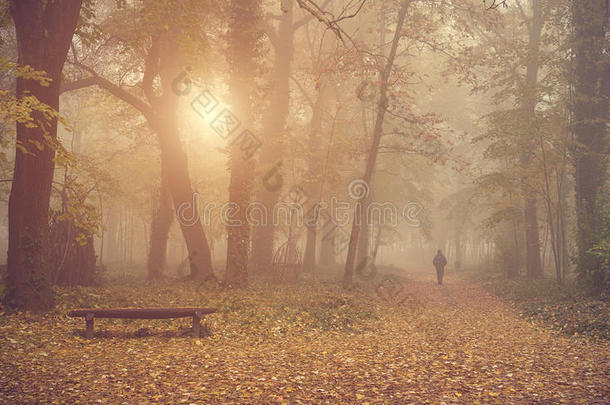 秋天背景梁长凳平静的