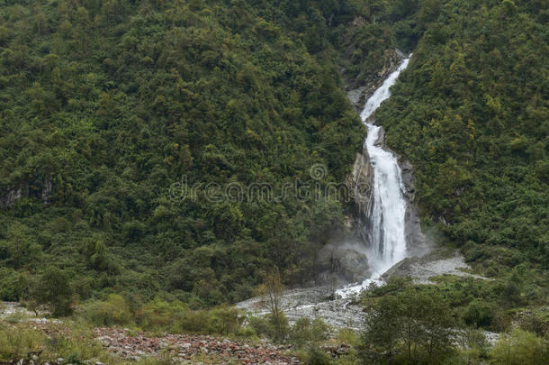 <strong>瓷</strong>器落下<strong>森林风景</strong>山