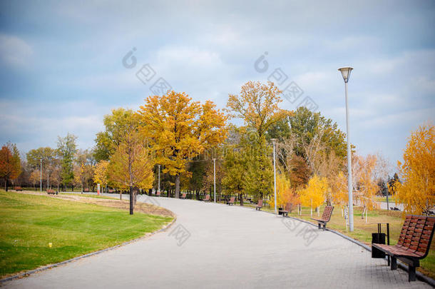 公园小巷的秋景，绿草上有灌木丛和树木
