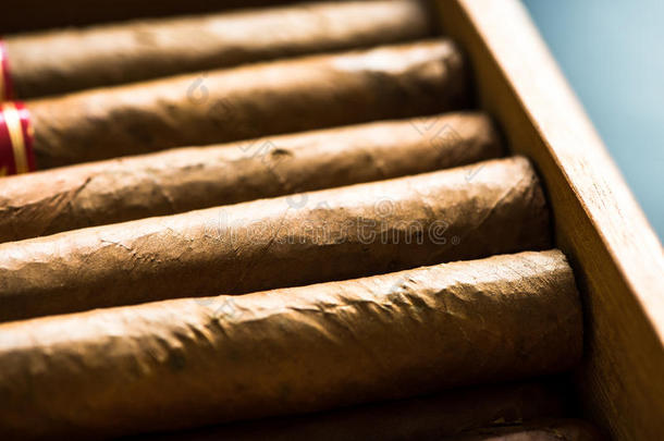 古巴雪茄在木制的加湿器