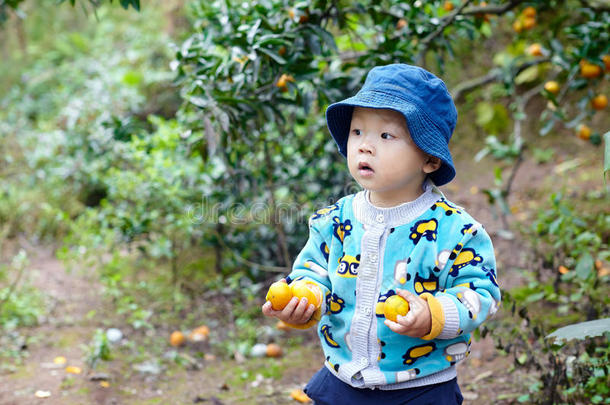 男孩摘橘子