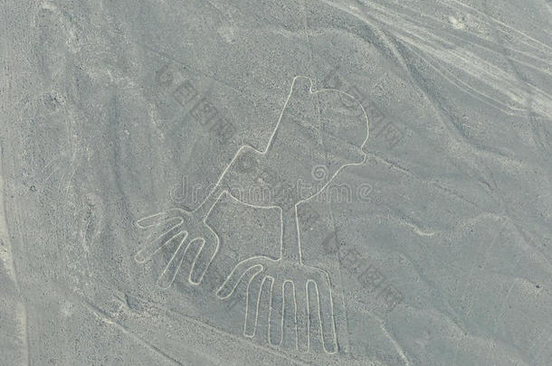 纳兹卡线鸟瞰图-手部地形图，秘鲁。