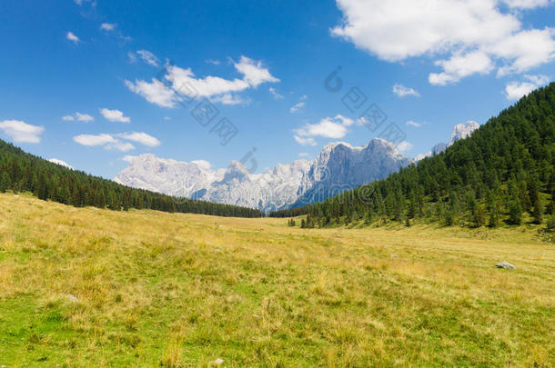 美丽的高山全景