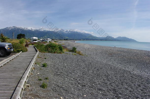 海滩灌木露营车露营海岸