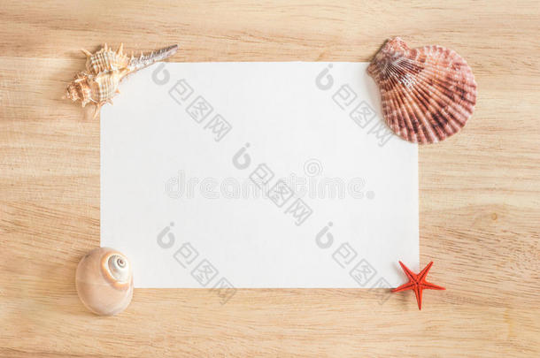 美丽的海洋构图，木制背景上有贝壳。 夏天的框架与贝壳，特写。