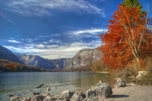 阿尔卑斯山地区秋天背景美丽的