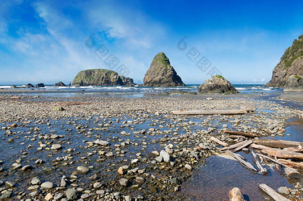 美女海岸西北海洋在户外