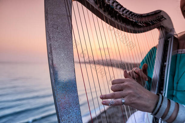 在夕阳下，女人在海边弹琴的手紧紧地合上