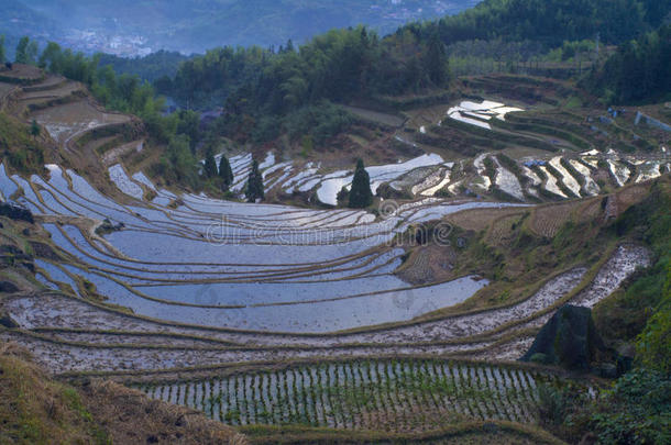 亚洲瓷器领域高地风景