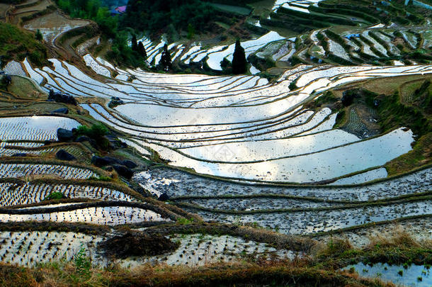 亚洲瓷器风景<strong>丽水</strong>山