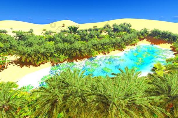 撒哈拉沙漠上的非洲绿洲