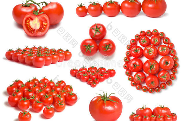 西红柿系列