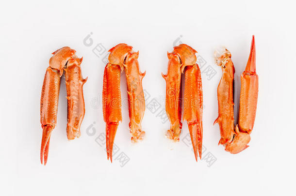 煮熟的蟹爪分离在白色背景上的螃蟹和海洋