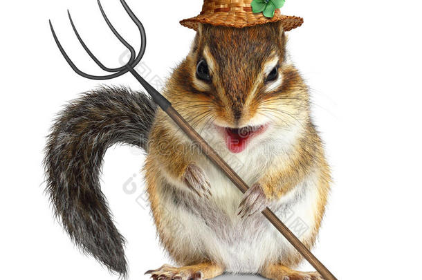 有趣的动物农民，松鼠带着草叉和帽子