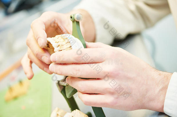 牙科技师处理牙齿假牙的手