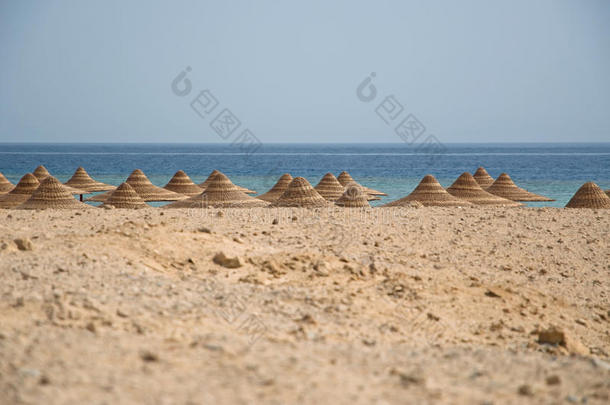 海滩小屋或小屋屋顶，红海，埃及