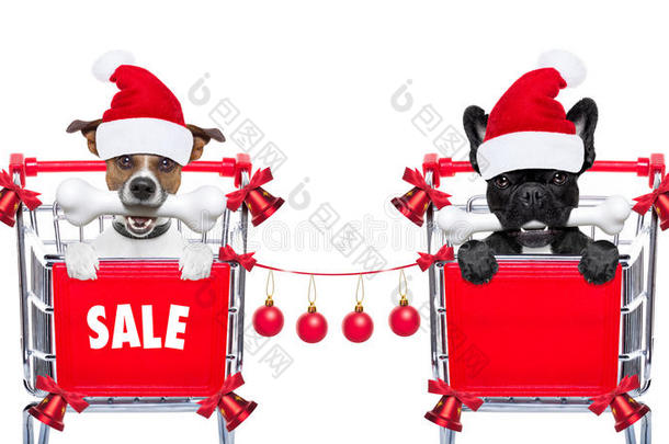 圣诞特卖狗