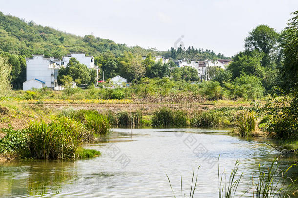 大山村