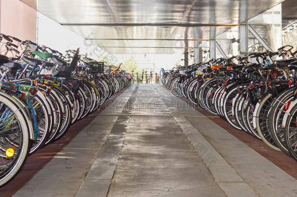 阿姆斯特丹自行车摩托车手链混乱