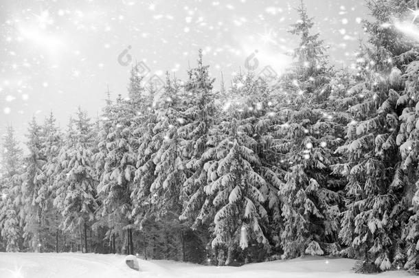 背景平静的喀尔巴阡山圣诞节气候