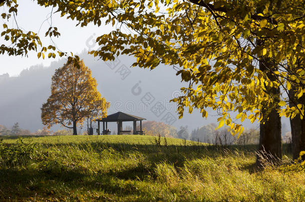 微博神器秋天秋天的巴伐利亚美丽的