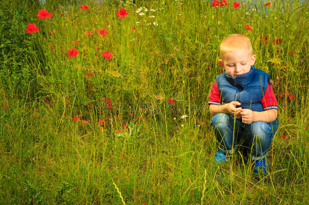 在草地上玩耍的孩子在检查野花