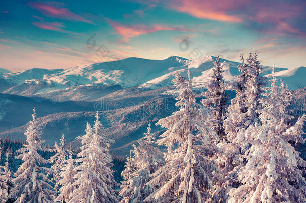 冬天山上五颜六色的早晨场景。