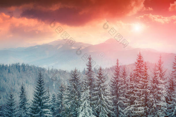 喀尔巴阡山五彩缤纷的冬天场景。