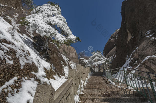 冒险登山家海拔高度贝森吉明亮的