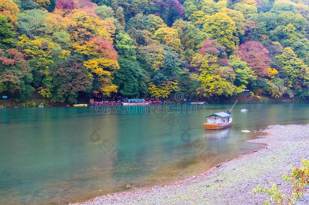 日本京都荒山秋日