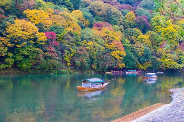 日本京都荒山秋日