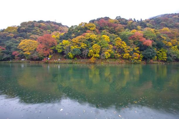 日本京都荒山秋日