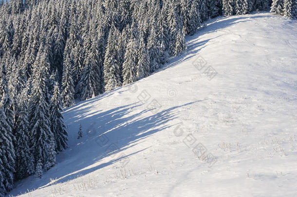 积雪的山坡