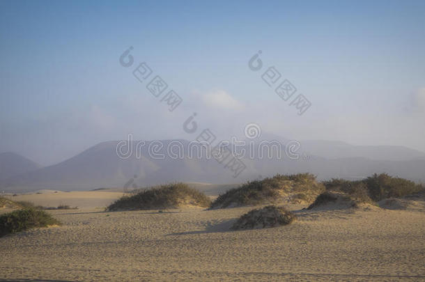 明亮<strong>朦胧</strong>的太阳在沙上的科拉雷霍，费特文图拉，金丝雀岛，西班牙
