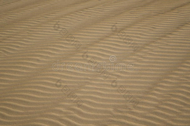 明亮的太阳在图案化的沙子上，在科拉莱霍，费特文图拉，金丝雀