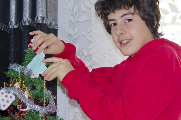 圣诞树和快乐男孩肖像