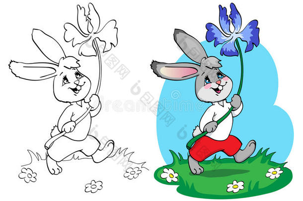 着色书或页面。 穿着红色短裤和白色衬衫的兔子和一朵蓝色的花。