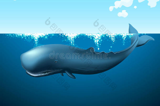 蓝鲸在海里游泳