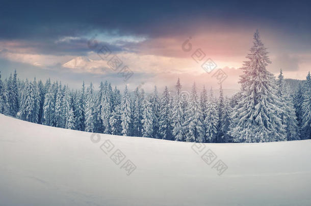 雪山五彩缤纷的冬季全景。