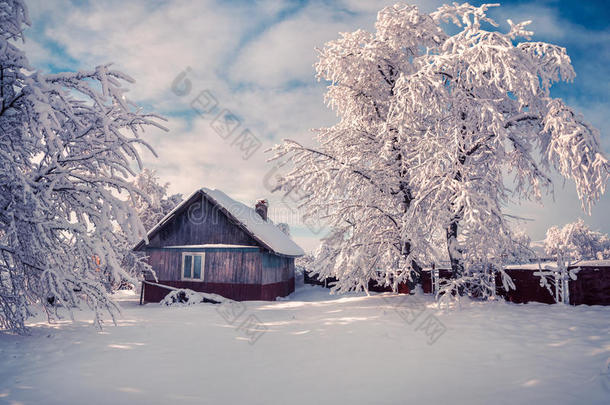冬天的童话，大雪覆盖了树木和房屋