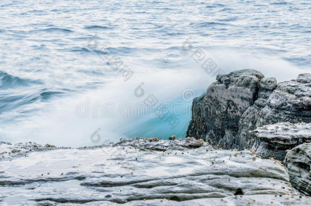 海滩美丽的美女蓝色卡特赖特