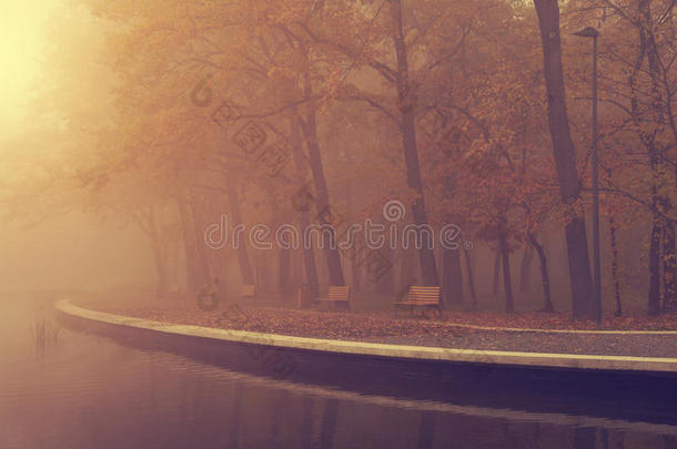 雾天的秋天公园