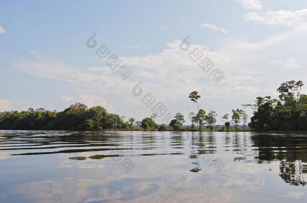 亚马逊雨林：巴西南美洲马瑙斯附近亚马逊河沿岸的景观